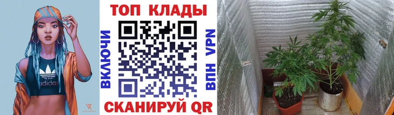 Купить Урус-Мартан МАРИХУАНА Мефедрон ГАШ